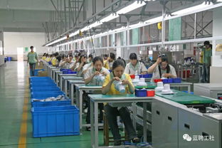 大龄工在家用电器研发企业的职业机遇与发展路径